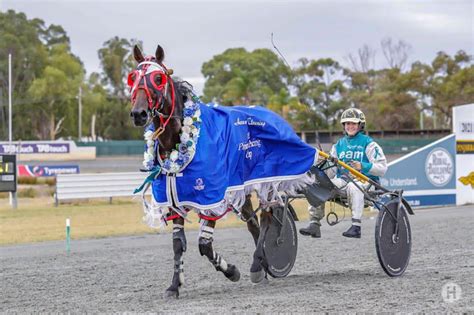 australian harness racing|Home .